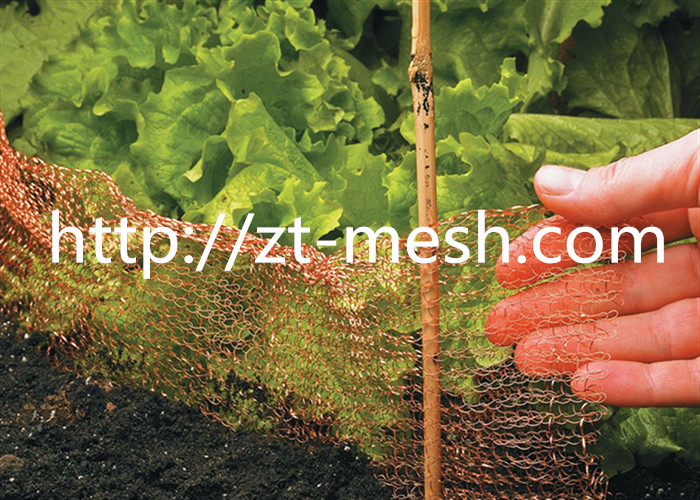Galvanized Welded Wire Mesh With Flat-type And Corrugated Type Surface Spiral Wound Or Compressed Craft