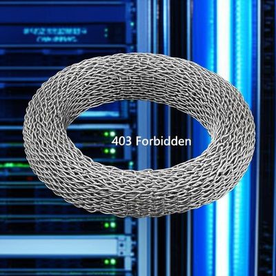 Openresty Server Software Knitted Wire Mesh Gasket with 403 Status Code